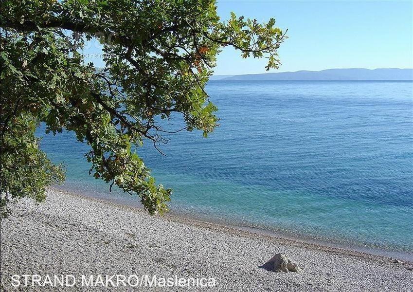 Design-Beachresort Масленица Экстерьер фото